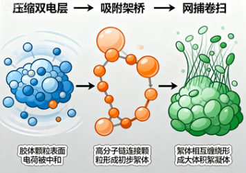 絮凝剂的成分有哪些？深入解析其构成与作用原理