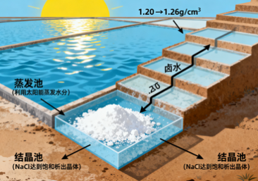 氯化钠化学式怎么写？探索食盐背后的科学奥秘
