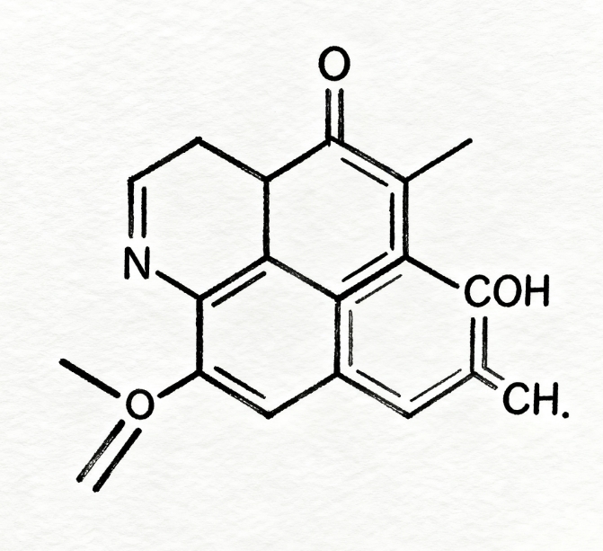 酚酞：从分子结构到现实应用的化学“变色龙”