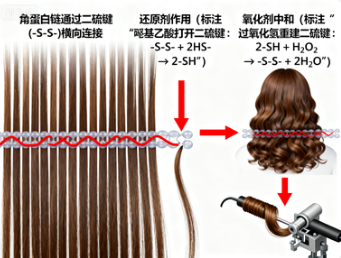 卷发剂中和剂如何塑造完美发型并保护发质？