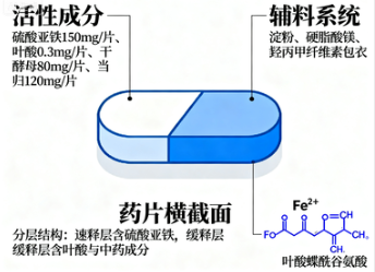 复方硫酸亚铁叶酸片作用到底有多重要？揭开贫血治疗的奥秘