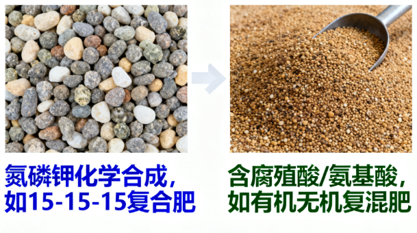 定义辨析、特性对比与科学选用指南​​