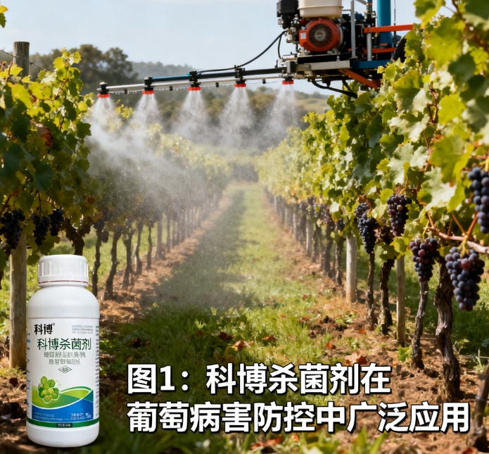 科博杀菌剂：老将不老，在现代农业中依然闪耀的守护者