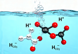 碳酸化学式揭示了什么？从气泡饮料到地壳循环的化学真相
