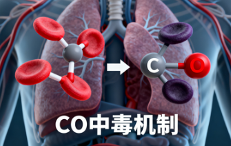 一氧化碳化学式到底揭示了什么？从无色气体到致命毒物的化学真相