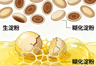 淀粉化学式究竟代表什么？从结构本质到应用价值的全方位解析