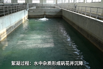 絮凝剂就是明矾吗？深入剖析水处理的核心功臣