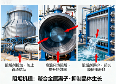 亚甲基二磷酸盐到底有什么特别之处？为什么它在水处理和化工中越来越重要？
