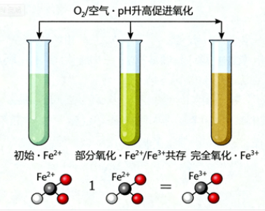 硫酸亚铁方程式究竟如何揭示其化学奥秘？全面解析硫酸亚铁的反应与应用价值