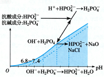 磷酸盐缓冲液配方究竟有什么讲究？——关于“磷酸盐缓冲液配方”的深入解析