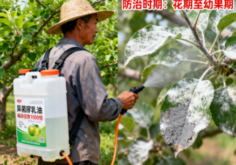 异菌脲杀菌剂治什么病？——从作用机理到农业应用的全面解析