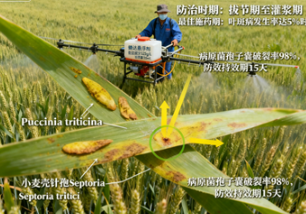 健达杀菌剂能解决哪些作物病害问题？——从原理到应用的全面解析