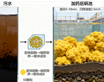 絮凝剂厂家为何差异如此巨大？从产品本质到行业实力的全面解析