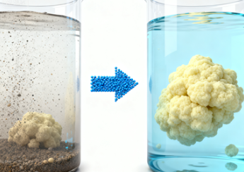 硫酸铝化学式究竟是什么？它在生活与工业中有哪些不可忽视的作用？