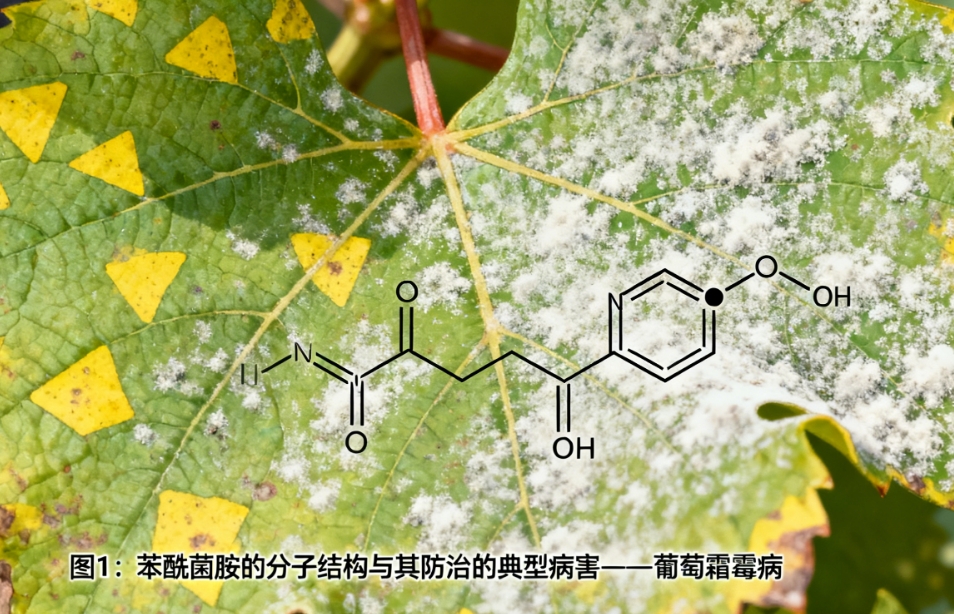 苯酰菌胺：守护绿色丰收的隐形盾牌