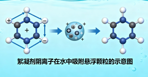 絮凝剂阴离子：从分子机制到工业实践的深度解析