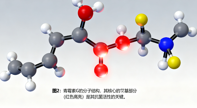 苯甲基：隐藏在万千分子中的“活性开关”