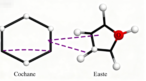 亲脂性有机溶剂：化学世界的“油性魔术师”