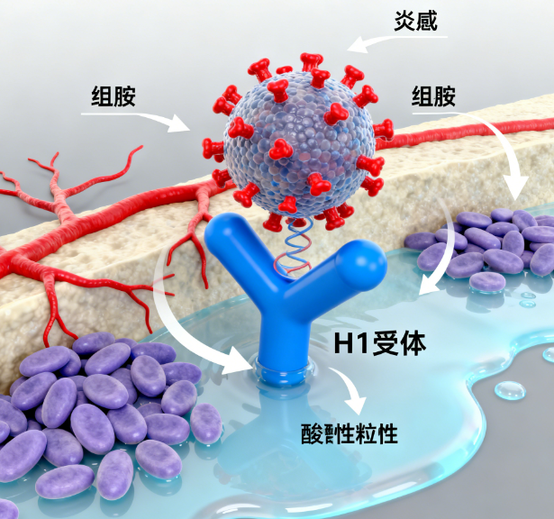 苯那敏：不止是抗过敏，深入解析一代经典药物的功与过